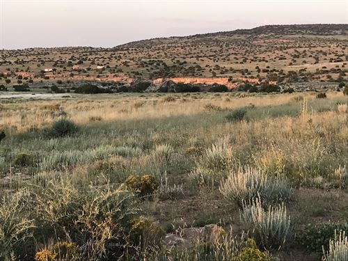 Little Colorado River Homestead : Saint Johns : Apache County : Arizona