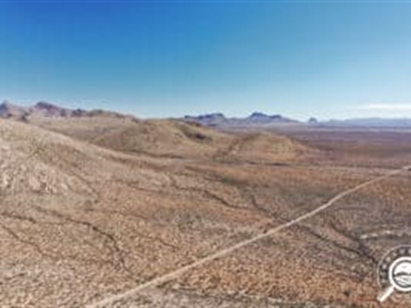 40 Acres of Amazing Mountain Views : Douglas : Cochise County : Arizona