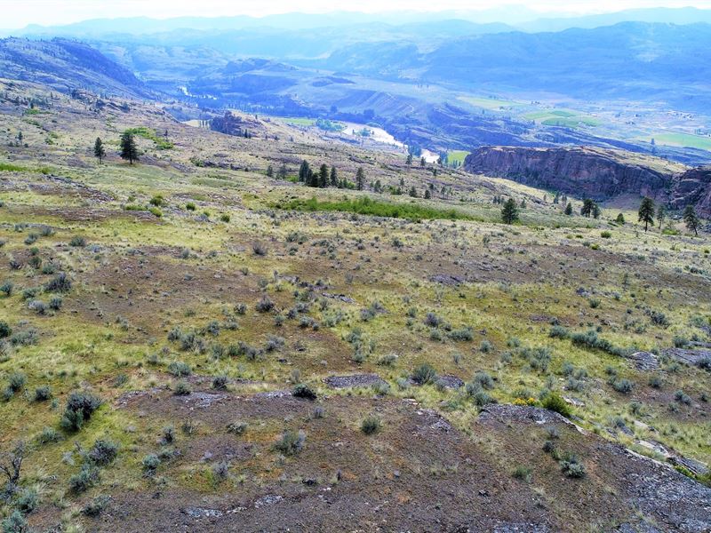 20 Acres Homesite, Off-Grid : Tonasket : Okanogan County : Washington