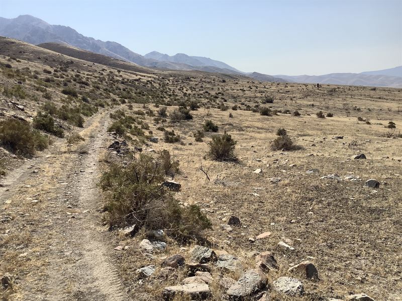 40 Acres Perfect for Hunting Season : Lovelock : Pershing County : Nevada