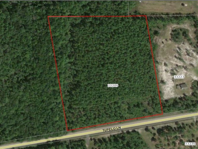 Lot 3, Tupelo Plantation : Callahan : Nassau County : Florida
