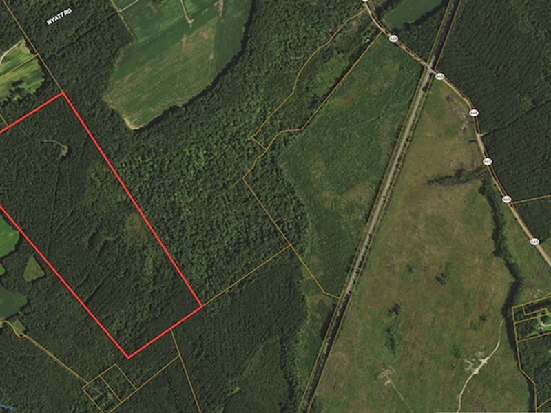 100 Acre Investment and Hunting Lan : Stony : Sussex County : Virginia