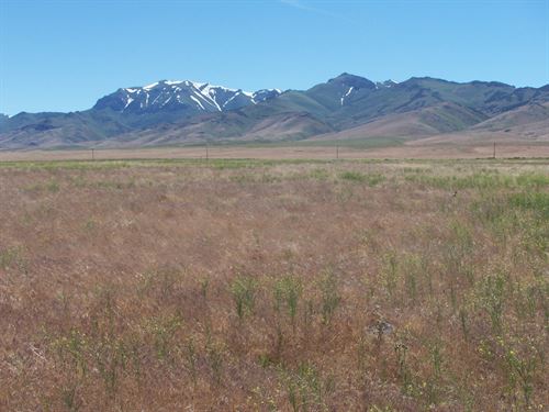EZ Access, Super Nice Views, $580/M : Imlay : Pershing County : Nevada