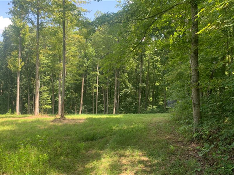 Locust Grove Rd Near Hocking Hills : Creola : Vinton County : Ohio