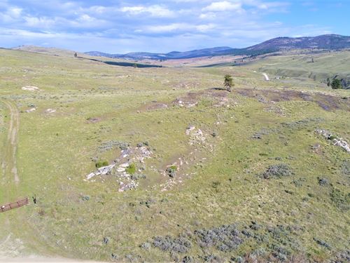 39 Acres Homesite, Prime Blm : Tonasket : Okanogan County : Washington