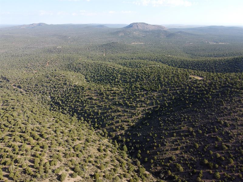Secluded and Scenic Desert Property : Seligman : Coconino County : Arizona
