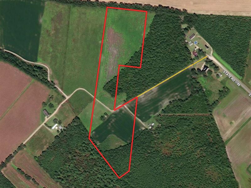 18 Acres of Farm : Rowland : Robeson County : North Carolina