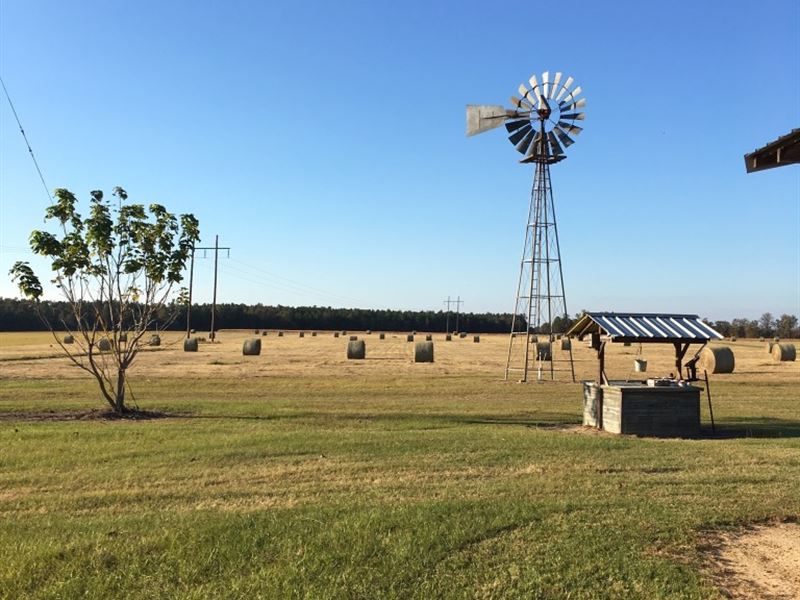 Family Retreat & Farm : Louisville : Jefferson County : Georgia
