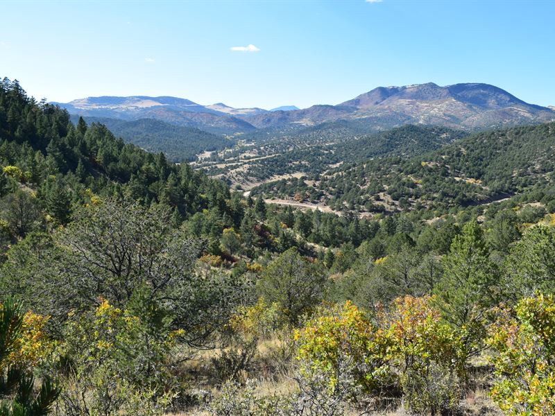 Colorado Mountain Land for Sale : Guffey : Fremont County : Colorado