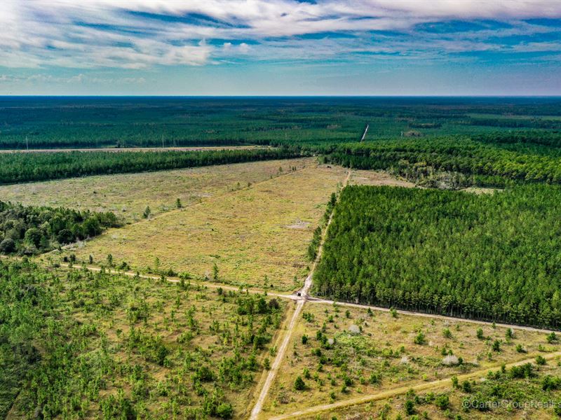 404 Acre Okefenokee Hunting Reserve : Waycross : Ware County : Georgia