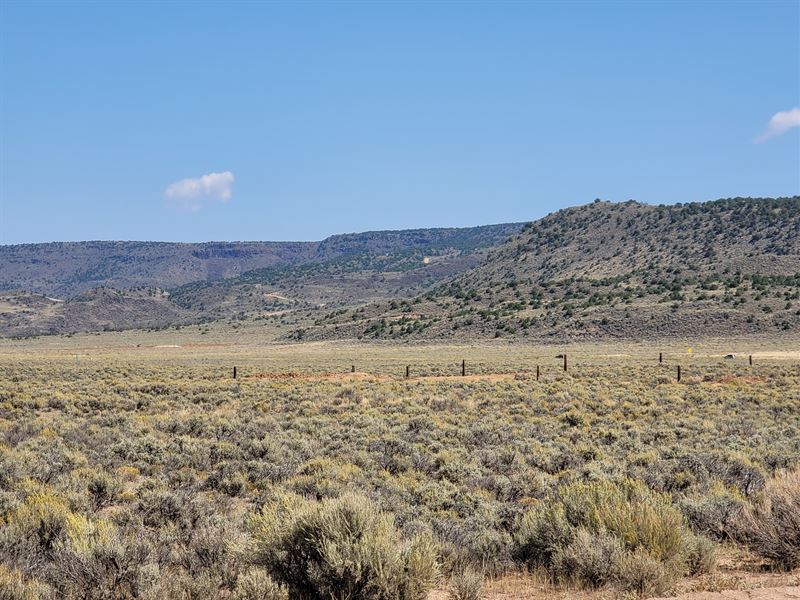 Rare 20 Acres in San Luis Valley : San Luis : Costilla County : Colorado