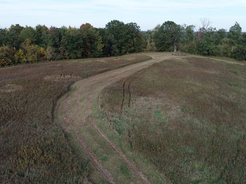 20 Acres Trempealeau County : Whitehall : Trempealeau County : Wisconsin