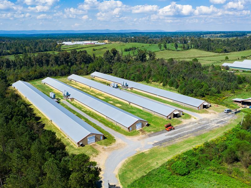 4 House Poultry Farm : Resaca : Murray County : Georgia