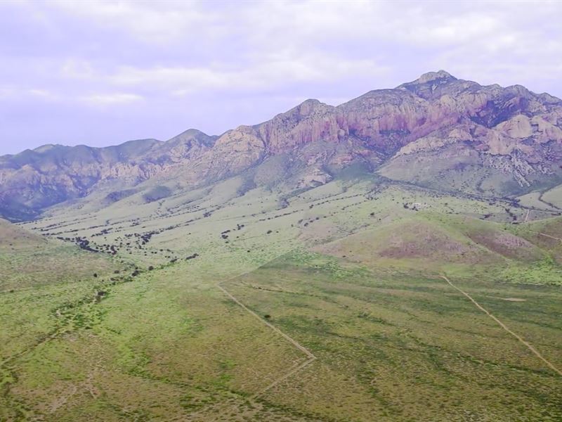 Motivated Seller, Stunning View : Portal : Cochise County : Arizona