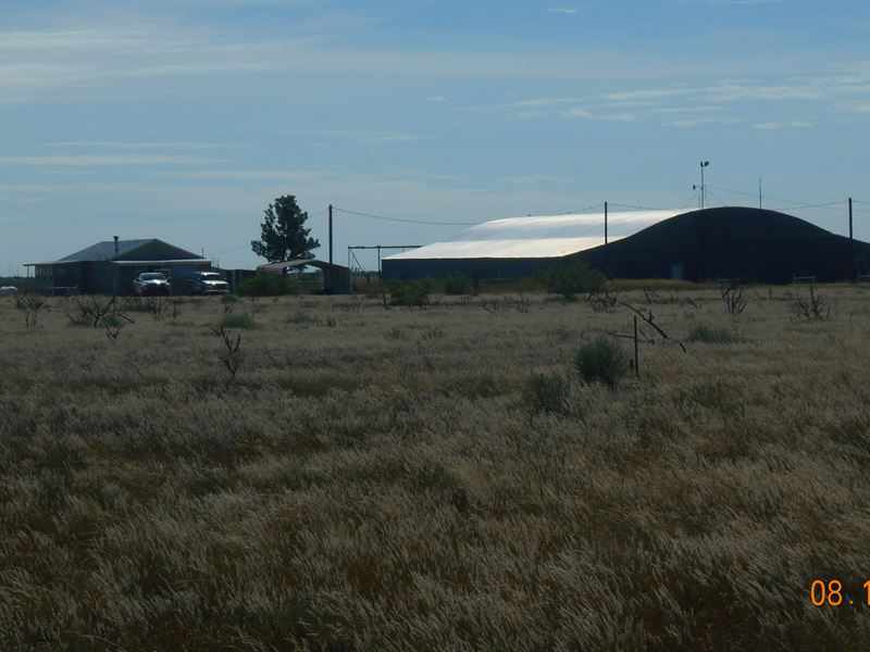 Outstanding Cattle Ranch, Ranch for Sale in New Mexico, 294099 RANCHFLIP