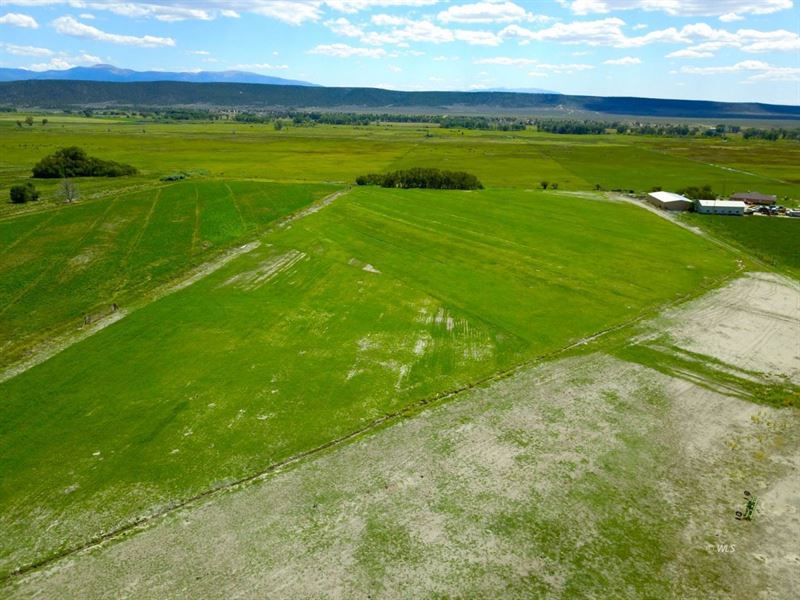 Heavy Horse Iron Farm : San Luis : Costilla County : Colorado