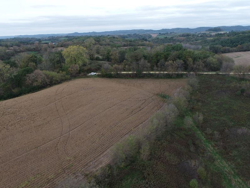 26 Acres in Buffalo County : Independence : Buffalo County : Wisconsin