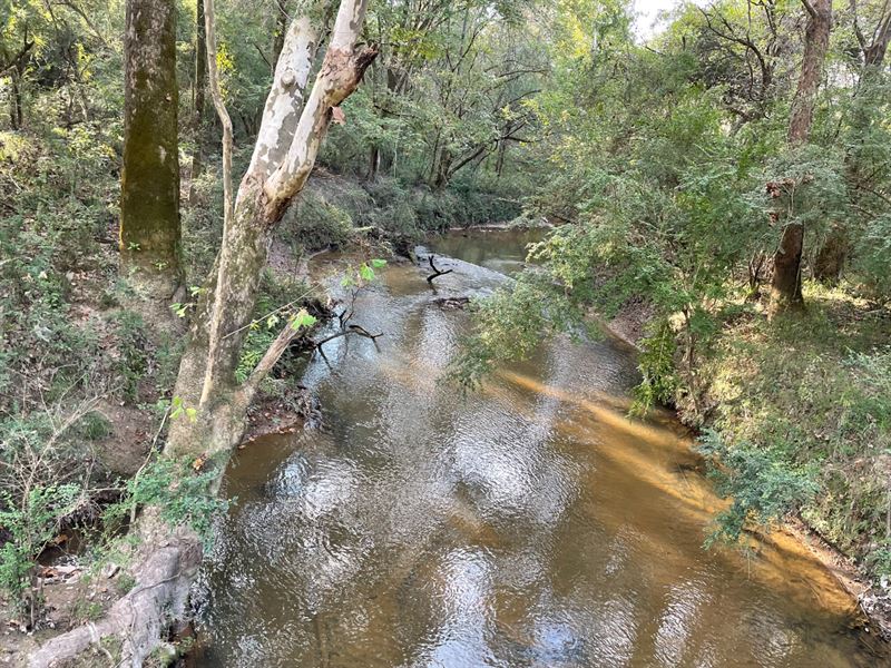 Hunting Haven : Liberty : Amite County : Mississippi