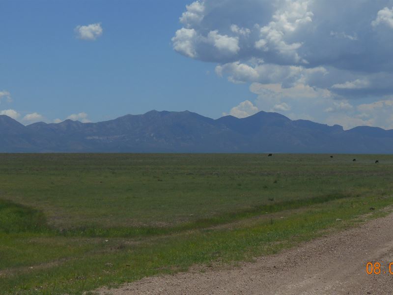 Outstanding New Mexico Ranch : Animas : Hidalgo County : New Mexico