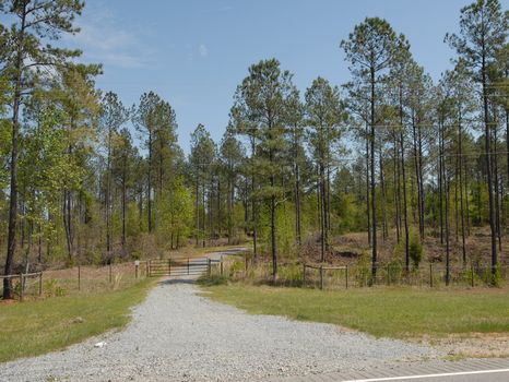408 Acres on 4-Lane Highway : Thomaston : Upson County : Georgia