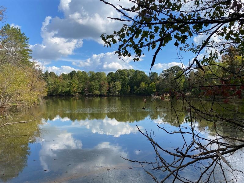 172-Acres-Beautiful Farm : Jonesville : Union County : South Carolina