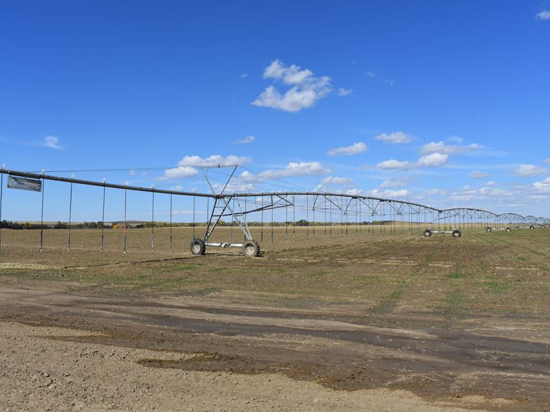 Frihauf Farms : Byers : Adams County : Colorado