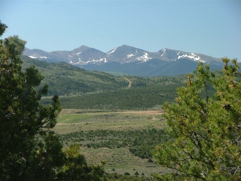 43 Acre in Costilla County, CO : San Luis : Costilla County : Colorado