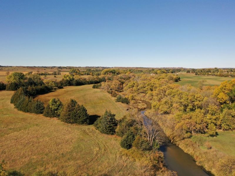 South Loup River Wildlife : Callaway : Custer County : Nebraska