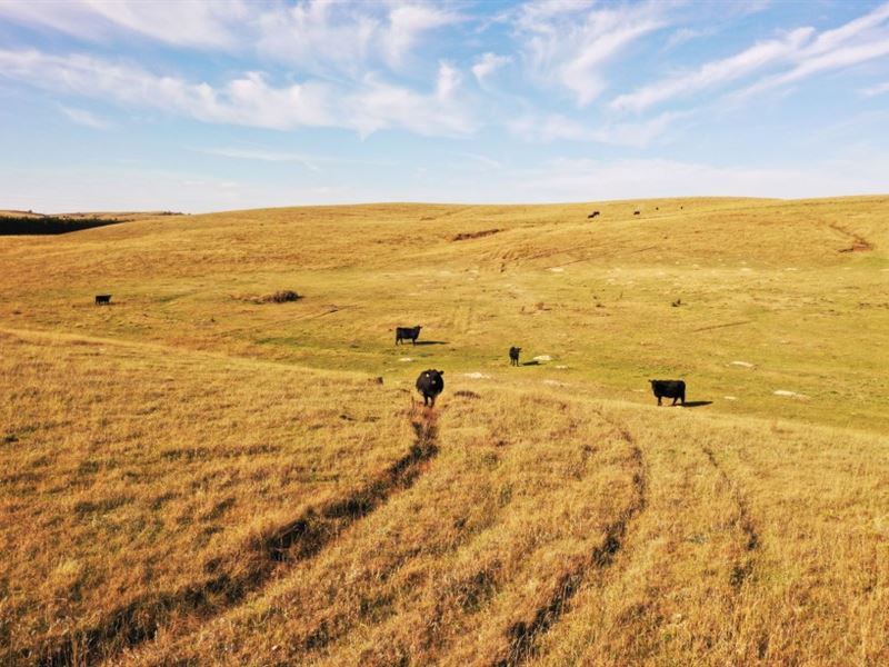 The Devine Ranch-Tract 1 : Oconto : Custer County : Nebraska