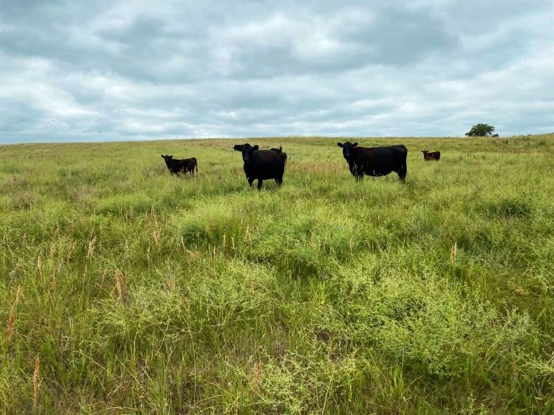 The Devine Ranch-Tract 3 : Oconto : Custer County : Nebraska