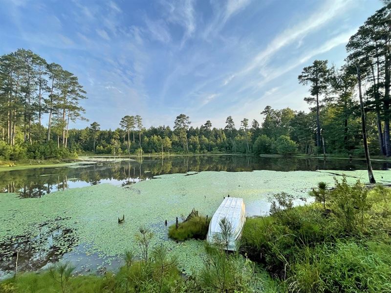 82 Acres Hunting Timberland for Sal : Huttig : Union County : Arkansas