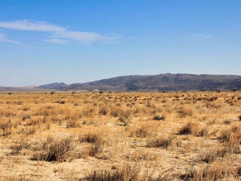 Black Mountain Patriot : Hinkley : San Bernardino County : California
