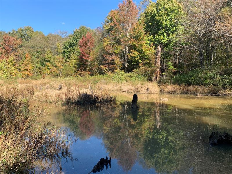 Woody Creek Tract : White Plains : Hancock County : Georgia