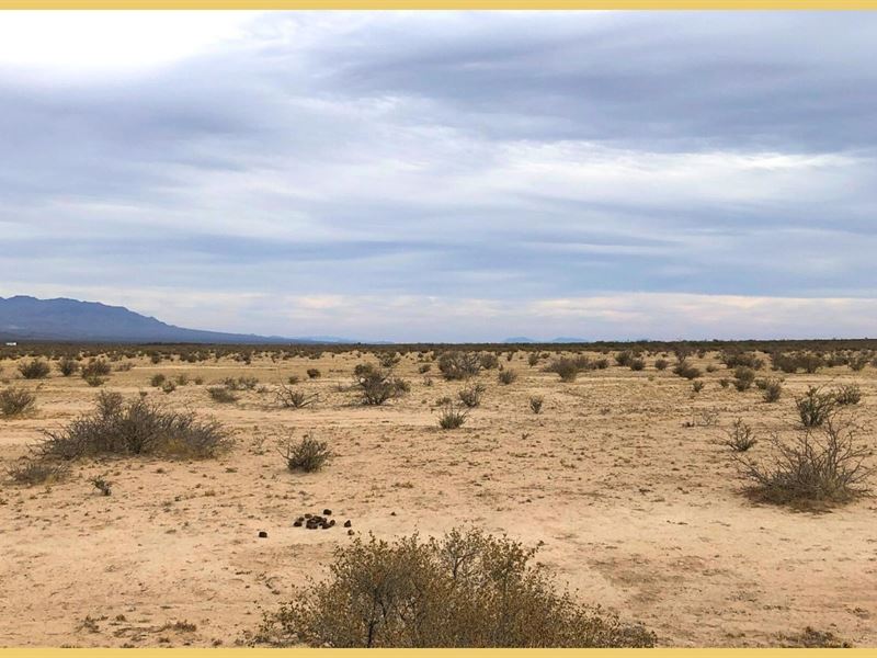 Own 20 Acres in Cornudas, Zero Down : Cornudas : Hudspeth County : Texas