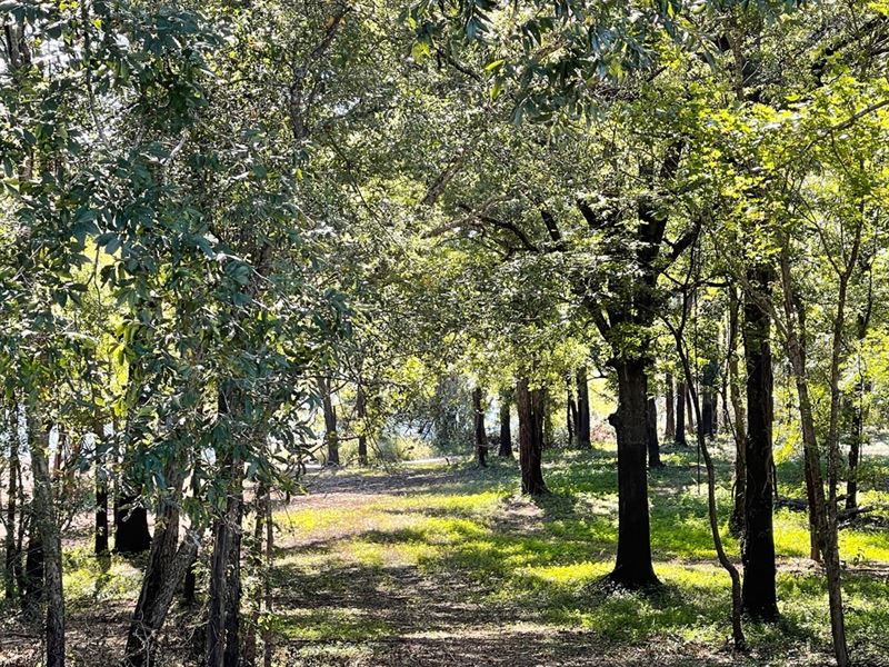 La, Ouachita River Lots Ranch for Sale in Monroe, Ouachita Parish