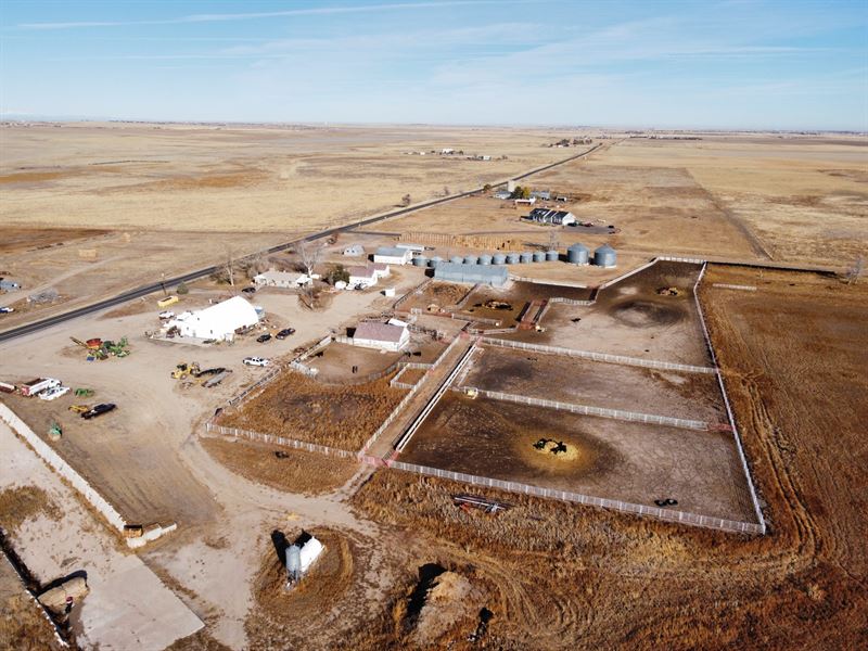 East Hanlon Homestead and Feedlot : Strasburg : Arapahoe County : Colorado