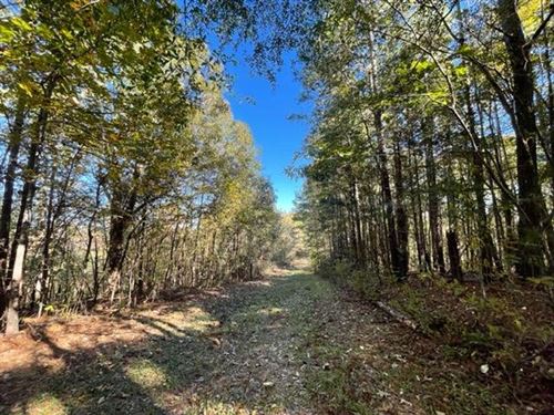 CR 118 Houlka, MS : Houlka : Chickasaw County : Mississippi
