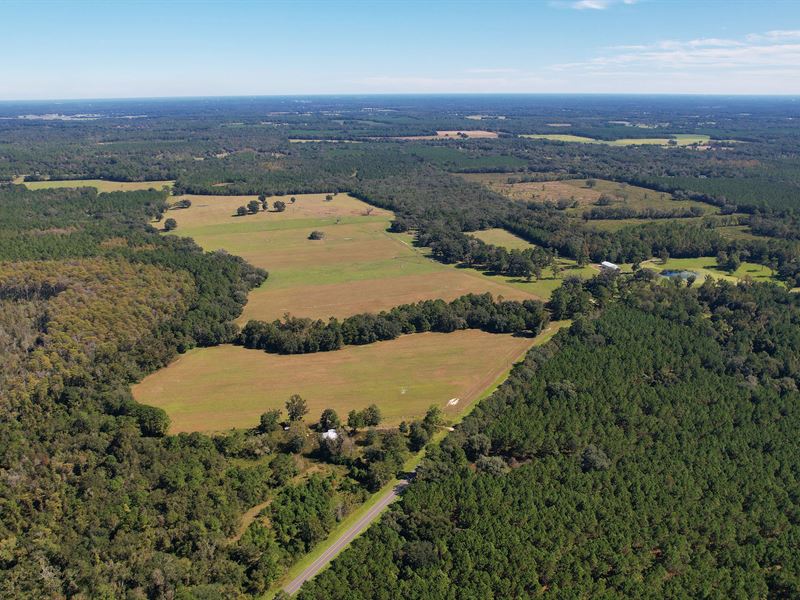 Wellborn Ranch : Wellborn : Suwannee County : Florida