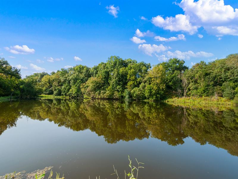 60 Ac with Pond, Trees, & Pasture : Williamsport : Maury County : Tennessee
