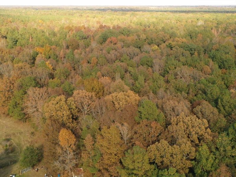 Great Recreational/Homesite Tract : Cedar Bluff : Clay County : Mississippi