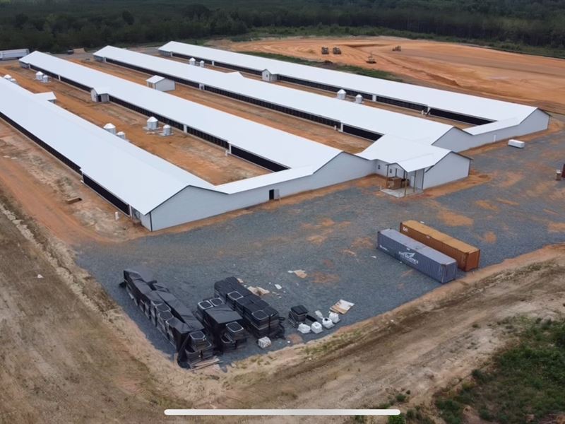 New 4 House Breeder Farm : Ideal : Macon County : Georgia