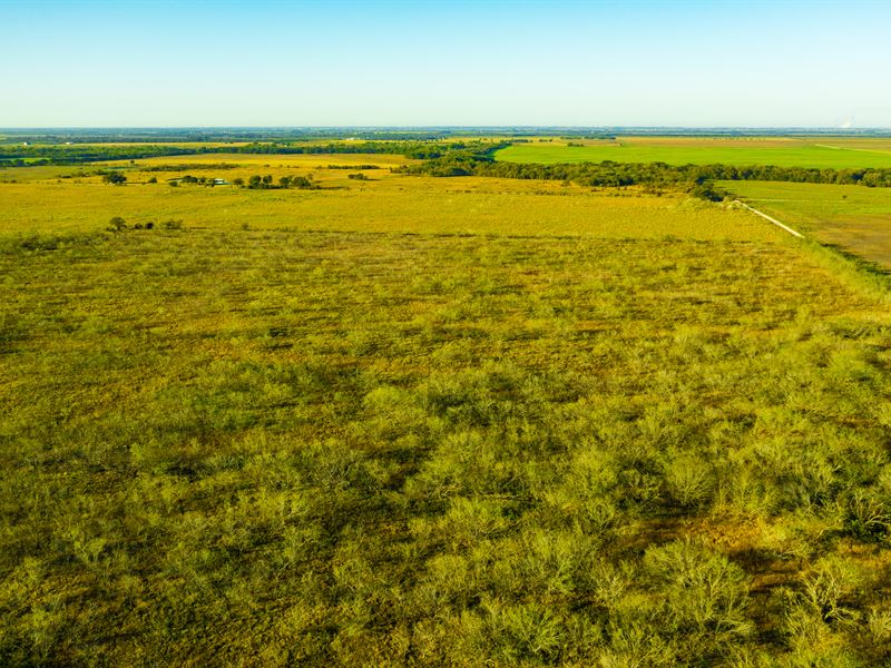 10 Acres RV / Mobile Lot, Electric : Mart : Limestone County : Texas