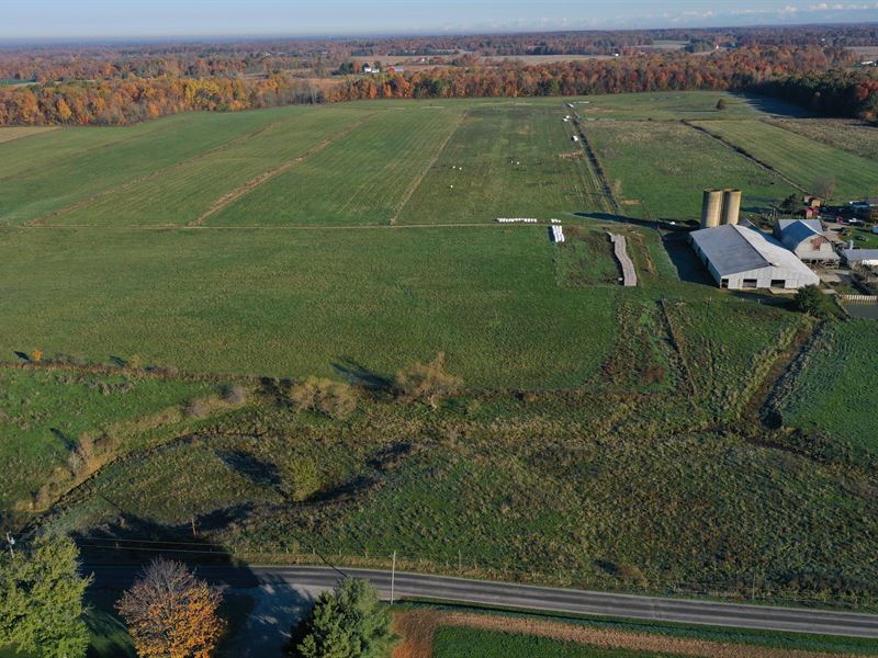 Organic Farm Auction in Ohio : Mount Gilead : Morrow County : Ohio
