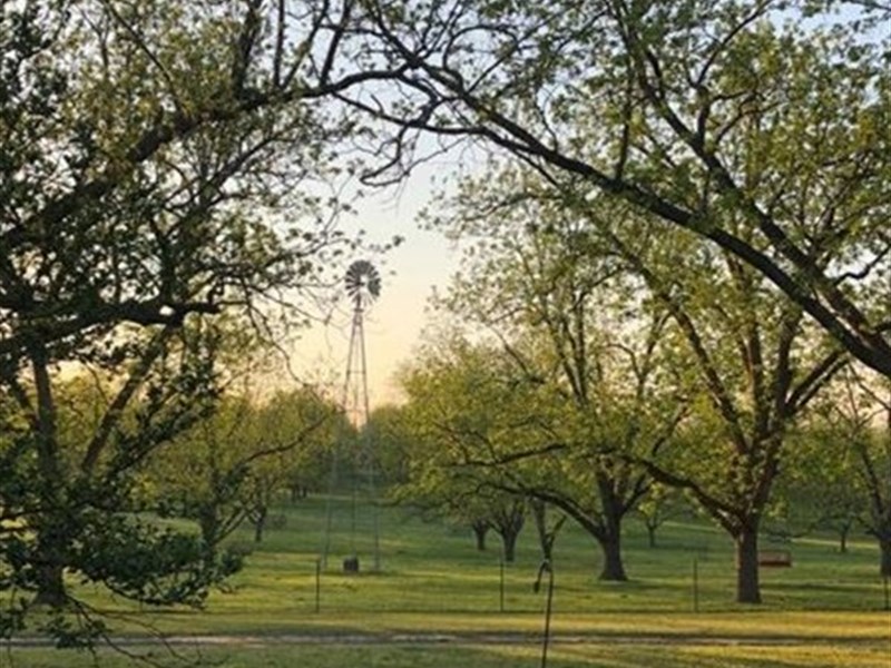 Five Points Ranch : Mitchell : Warren County : Georgia