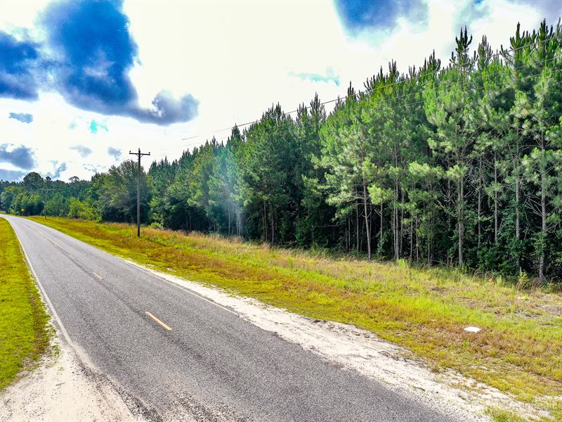 58 Acre Fred Carter Rd Timberland : Baxley : Appling County : Georgia