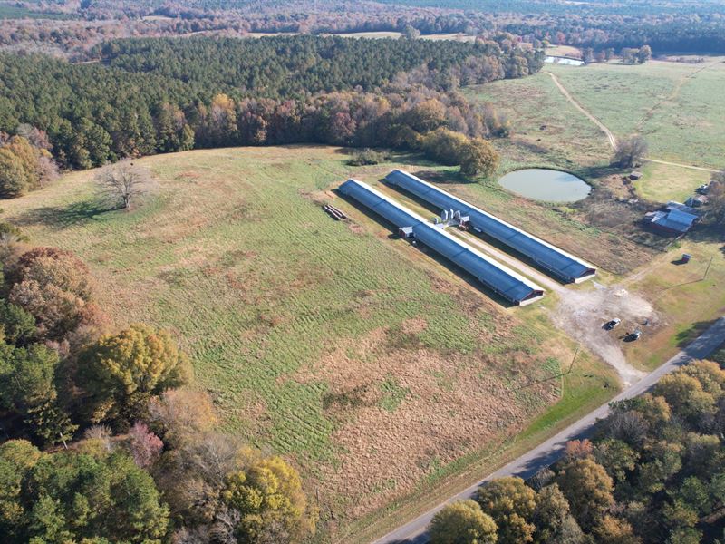 poultry farm poultry farm