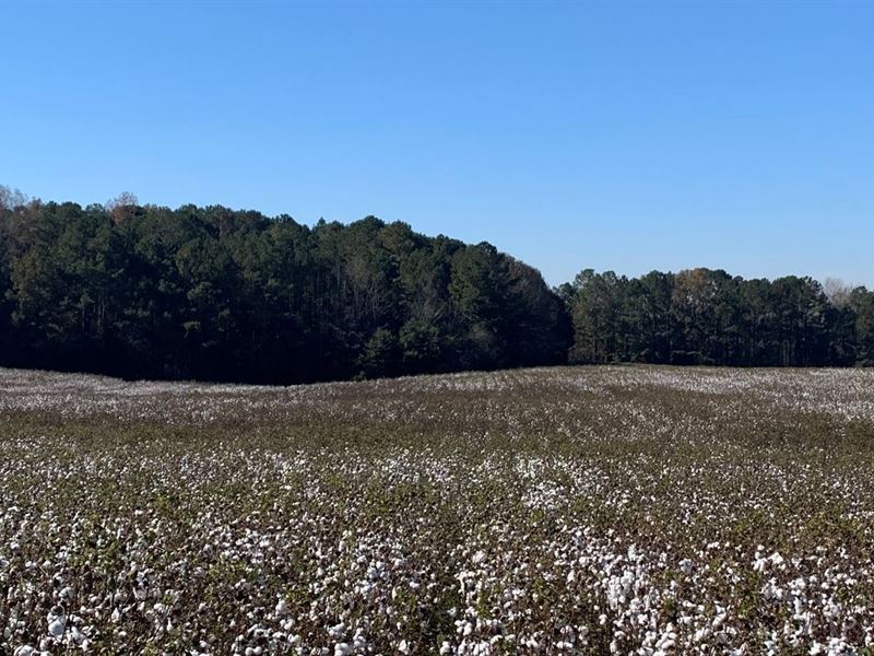 Mini-Farm Homesite Near Lafayette : Lafayette : Chambers County : Alabama
