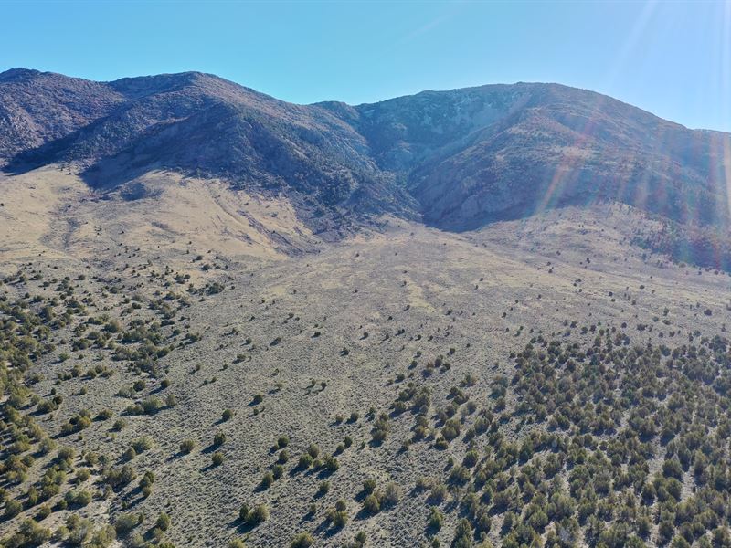 No Neighbors, Only Mountain Views : Montello : Elko County : Nevada