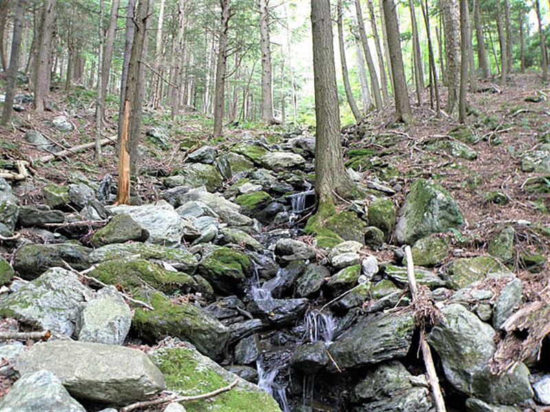 Rogers Peak Hillside : Rochester : Windsor County : Vermont