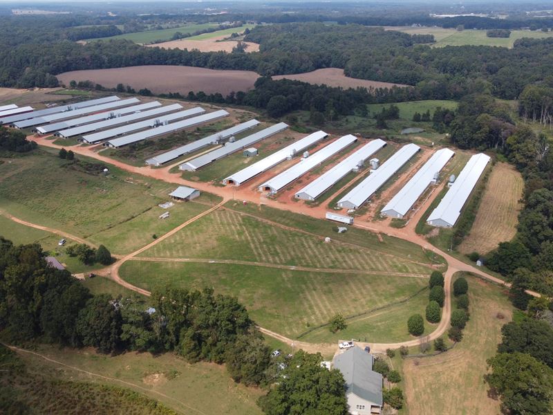 Beautiful 14 House Poultry Farm Ranch For Sale In Georgia 298383 RANCHFLIP Beautiful 14 House Poultry Farm Ranch For Sale In Georgia 298383 RANCHFLIP
